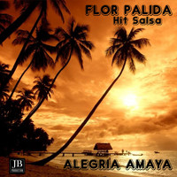 Alegria Amaya - Flor Palida