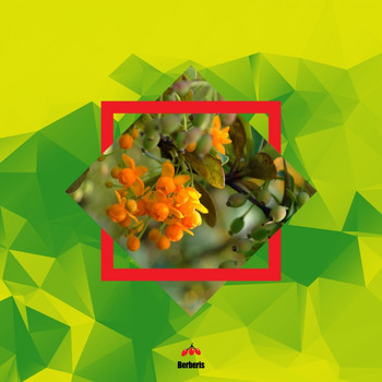 Marraco - Difractia EP