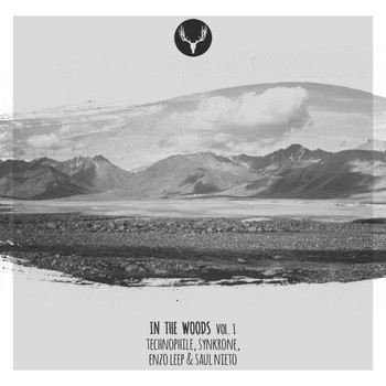 Various Artists - In The Woods Vol. 1