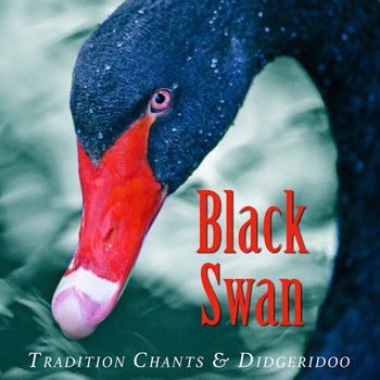 Ash Dargan - Black Swan: Traditional Chants and Digeridoo