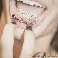 SenceSei - Dumpster