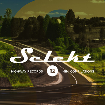 Various Artists - Selekt 12