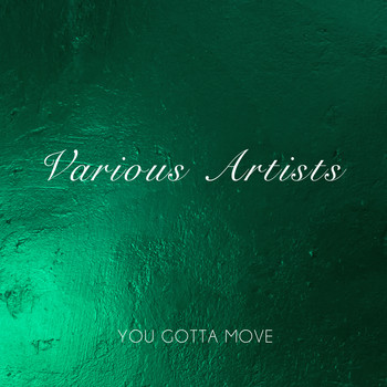 Various Artists - You Gotta Move