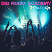 Big Room Academy - What's Up