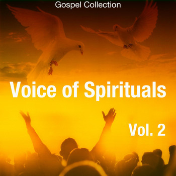 Various Artists - Voice of Spirituals, Vol. 2 (Gospel Collection)