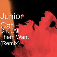 Junior Cat - Chat All Them Want (Remix)