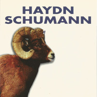 SWF Symphony Orchestra Baden-Baden - Haydn - Schumann