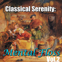Sverdlovsk Symphony Orchestra - Classical Serenity: Mental Floss, Vol.2