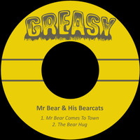 Mr Bear & His Bearcats - Mr Bear Comes to Town