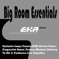 Chris Gee - Big Room Essentials DJ Tools