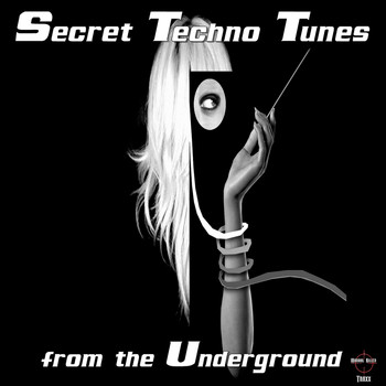 Various Artists - Secret Techno Tunes From The Underground