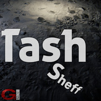 Tash - Sheff