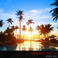 Organic Patch - Space DJ Mix