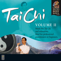 Llewellyn - Tai Chi, Vol. II