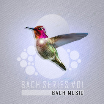 Various Artists - Bach Series