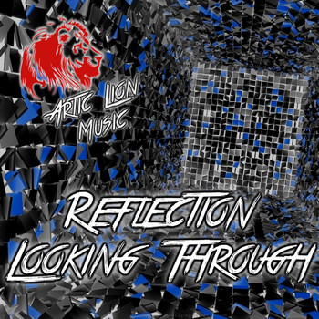 Reflection - Looking Through