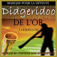Llewellyn - Didgeridoo de l'or: musique pour la détente: musique en continue sans interruption