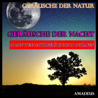 Amadeus - Naturgeräusche zu schlafen: Geräusche der Nacht