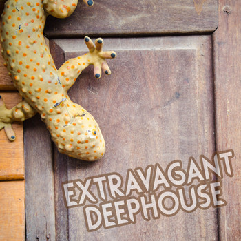 Various Artists - Extravagant Deephouse (Explicit)
