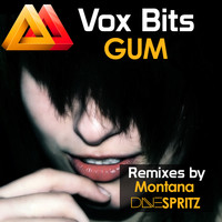 Gum - Vox Bits