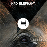 Daniel Boon - Mad Elephant