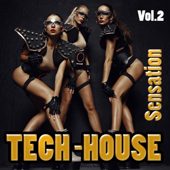 Various Artists - Tech House Sensation, Vol. 2 - Groovy Dance Beats for Clubbers Only (Explicit)