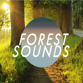 Forest Sounds - Forest Sounds