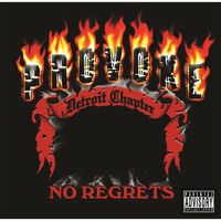 Provoke - No Regrets