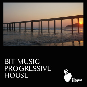Various Artists - BIT Music Progressive House