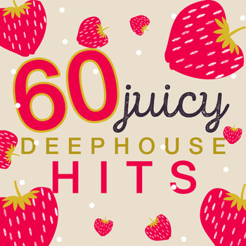 Various Artists - 60 Juicy Deep House Hits
