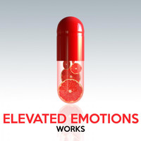 Elevated Emotions - Elevated Emotions Works