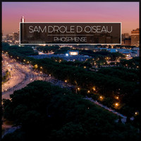 Sam Drole D Oiseau - Phosphense