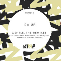 Re-Up - Gentle, The Remixes
