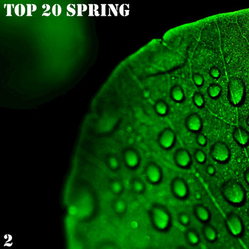 Various Artists - Top 20 Spring, Vol. 2
