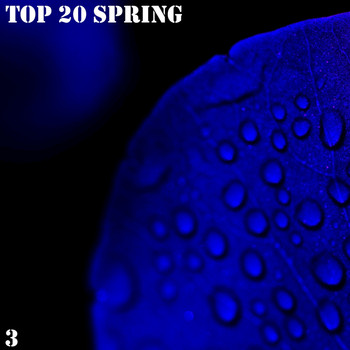 Various Artists - Top 20 Spring, Vol. 3
