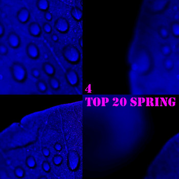 Various Artists - Top 20 Spring, Vol. 4