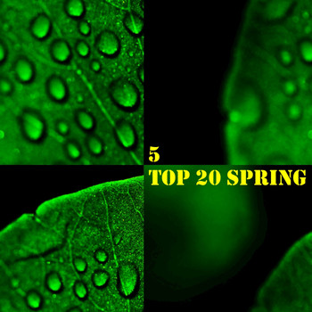 Various Artists - Top 20 Spring, Vol. 5