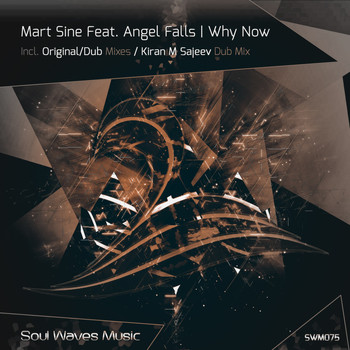 Mart Sine Feat. Angel Falls - Why Now