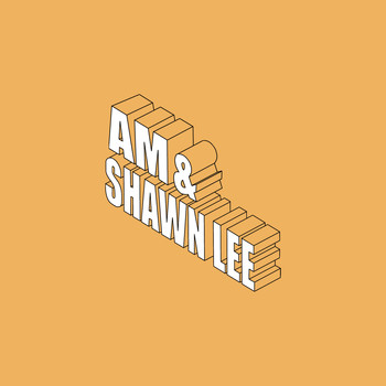 AM & Shawn Lee - You Are in My System
