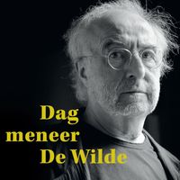 Jan De Wilde - Dag Meneer De Wilde (Best Of)