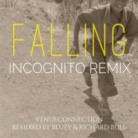 Venueconnection - Falling (Incognito Remix) [feat. Incognito]