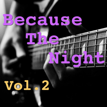 Various Artists - Because The Night, Vol. 2