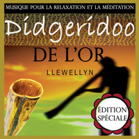 Llewellyn - Didgeridoo de l'or: musique pour la relaxation et la méditation: édition spéciale