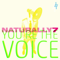 Naturally 7 - You're the Voice