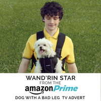 Lee Marvin - Wand'rin' Star (From The "Amazon Prime - Dog with a Bad Leg" T.V. Advert)