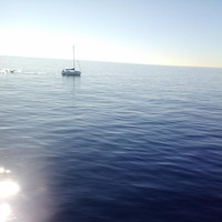 Beachvibes - Current