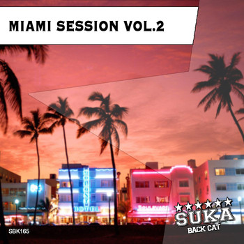 Various Artists - Miami Session, Vol. 2