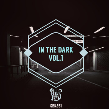 Various Artists - In the Dark, Vol. 1