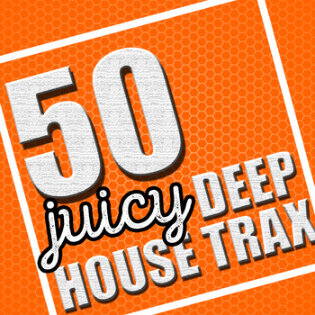 Various Artists - 50 Juicy Deep House Trax