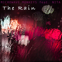 Microwave Monkeys feat. Nita - The Rain